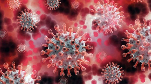 Броят на новите случаи на коронавирус по света на седмична