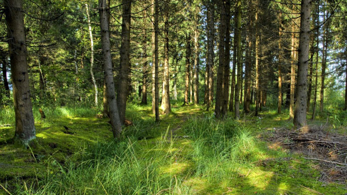 Овен Знакът Ви е известен със своя магнетизъм. Когато влезете