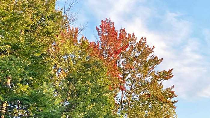 Овен Tрябва да сте крайно внимателни в работата. Има голяма