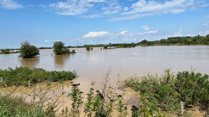 Скъсана дига на река Стряма при село Калековец е препълнила
