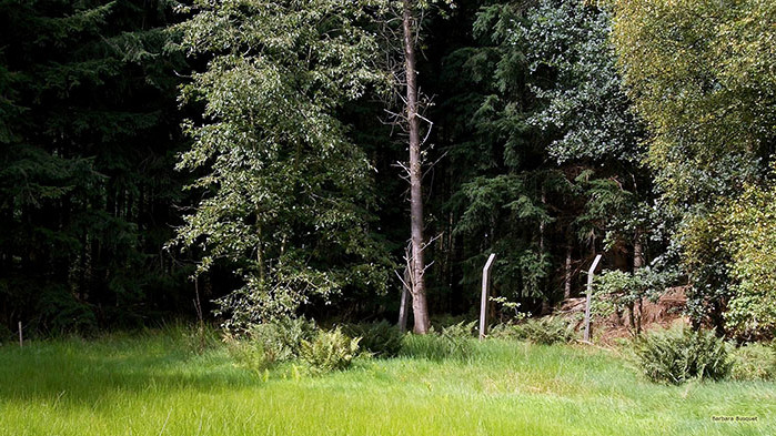 Овен Денят е празен - не обещава нито големи успехи,