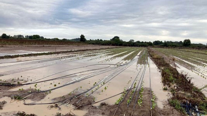 Стотици къщи и хиляди дка потопени край Пловдив и Карлово - трябват милиони
