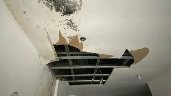 Радостин Василев погреба Зимния дворец в София (СНИМКИ)