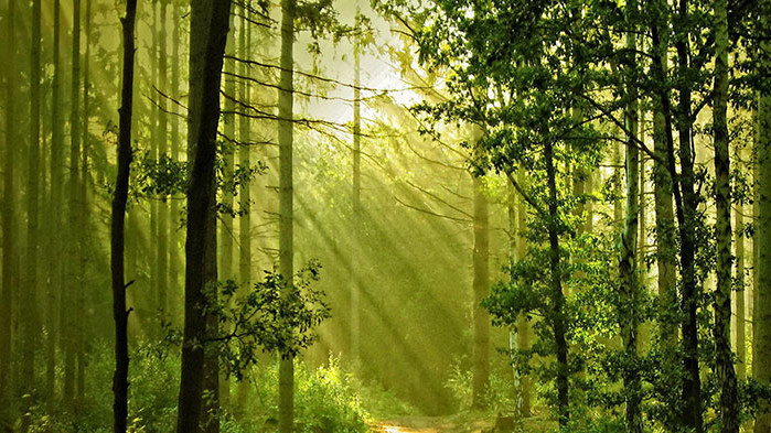 Овен Днес Вашия любим човек ще срещне стари познати или