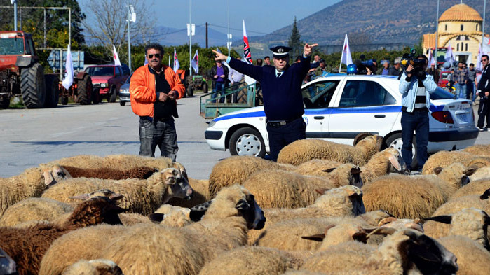 Криза обхвана животновъдството в Гърция поради високи цени на фуражите.