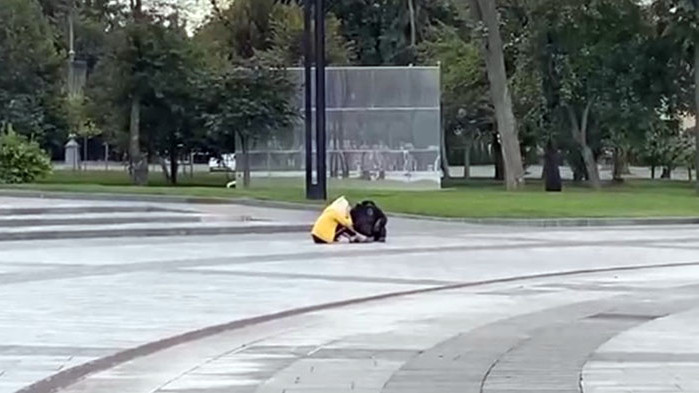 Шимпанзе се разхождаше в центъра на град Харков, Украйна.  Жители забелязали