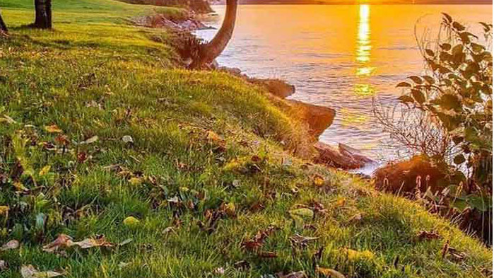 Овен Опитвате се да се възползвате от своите чувства, вместо