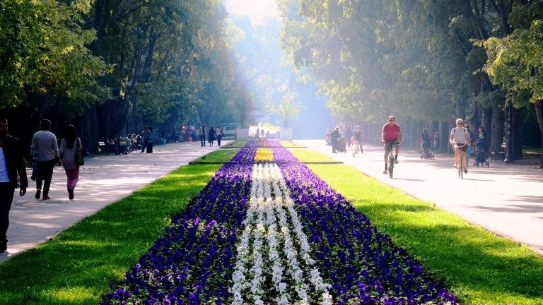 Община Варна постига по-висока събираемост на данъците