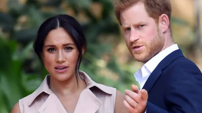 Съпругата на Хари многократно е заявявала, че е била шокирана,