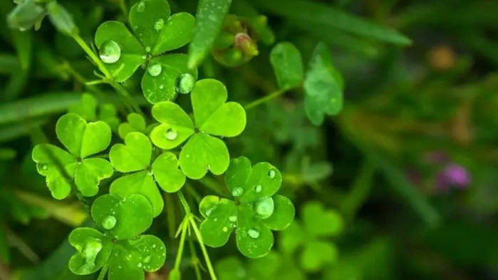 Щастието присъства в живота на всеки от нас, просто трябва