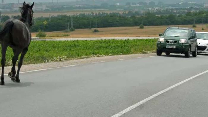 56-годишен мъж загина, след като с колата си се удря