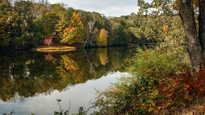 Овен Противоречията между Вас и другите хора може да се