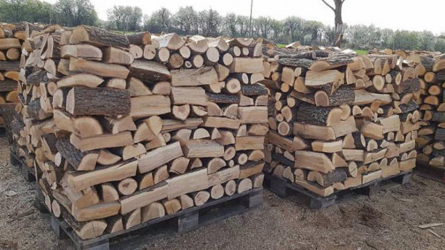Измама с продажба на дърва за огрев: Каква е схемата и колко са потърпевшите?