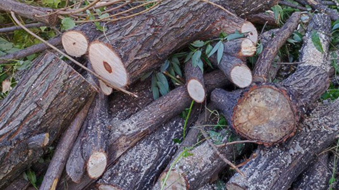 Кметът на Благоевград Илко Стоянов освободи четирима служители от Общинско