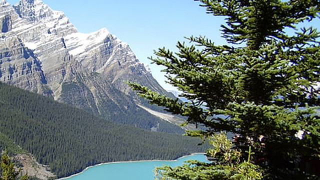 Овен Овните днес не трябва прекалено дълго да се колебаят