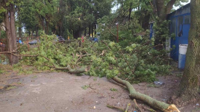 Ураганният вятър по време на бурята в Бургас е бил над