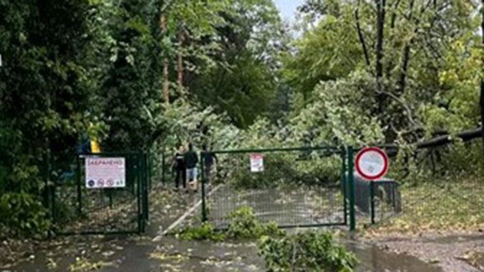 Апокалипсис и в Гоце Делчев - изтръгнати дървета навсякъде (СНИМКИ)