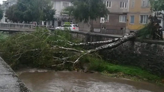 Не само Бургас и Поморие са обезобразени от разразилата се