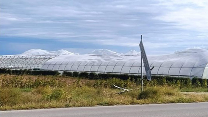 Почти ураганен е вятърът в Пловдив и региона, който вилнее