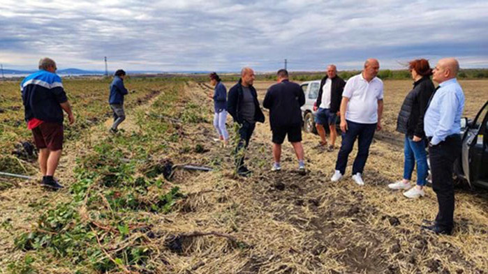 Ураганният вятър вчера е унищожил над 1500 дка лозя край