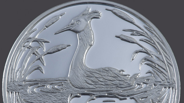 БНБ пуска сребърна монета „Голям гмурец“