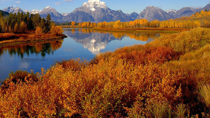 Овен Практиката през този ден е по-важна от теорията. Ако