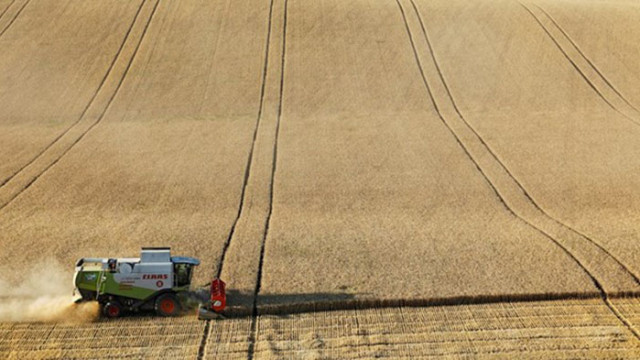 Земеделският министър: Зърнената реколта в Русия расте благодарение на "новите територии"