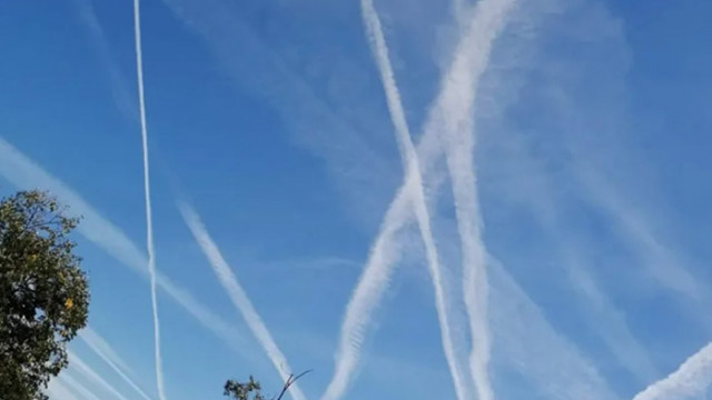 От Фейсбук профила на д р Костадин Шахов директор на Белодробната