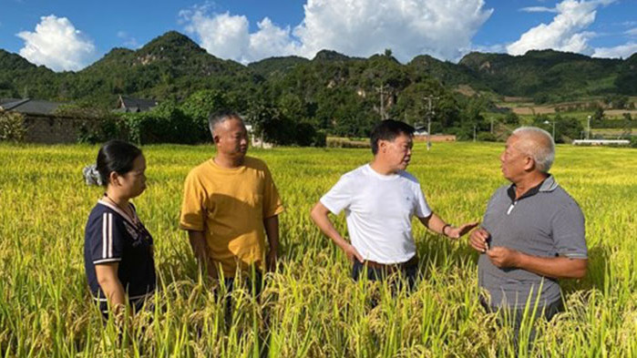 Земеделските производители в окръг Ланкан, югозападната китайска провинция Юннан, възприемат