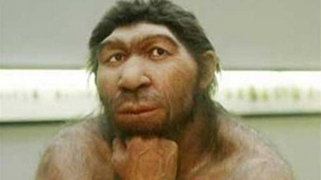 Неандерталците са съжителствали със съвременните хора в някои части на