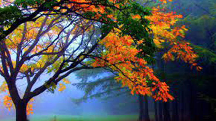 Овен Денят е свързан с понижаване на жизнената Ви активност