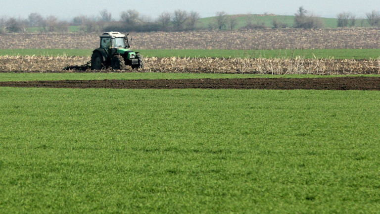 Египет е готов да изпрати 5000 селскостопански работници в Гърция, които