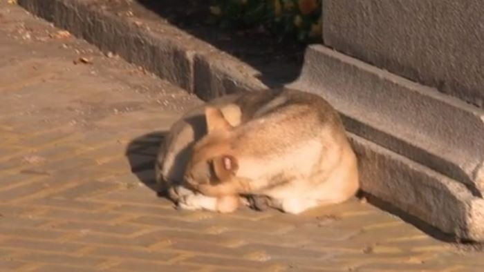 България търси председател на Народното събрание
