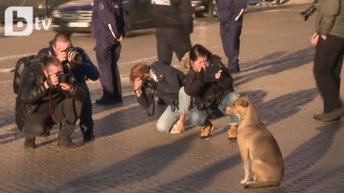 България търси председател на Народното събрание