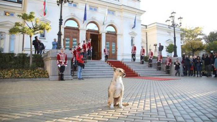 От Фейсбук профила на Кеворк Кеворкян Днес бе вторият ден