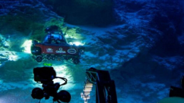 Скрит "оазис на живота" е открит дълбоко в океана на Малдивите