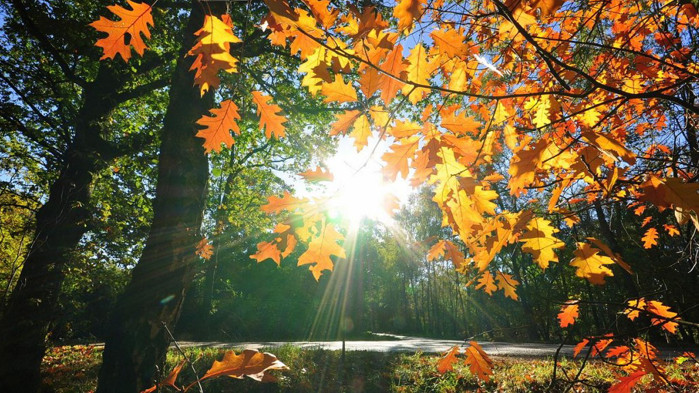 Минималните температури днес ще бъдат между 6° и 15°, в