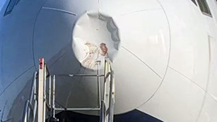 Самолетът на кралицата на Англия едва се приземи с повреден от птица нос
