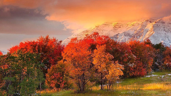 Овен Ако в работата си имате проект, който да е