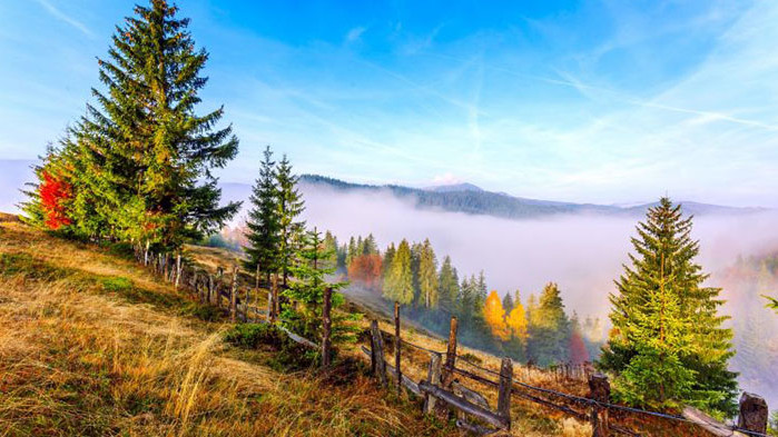 Овен Днес не трябва прекалено много да се надявате на