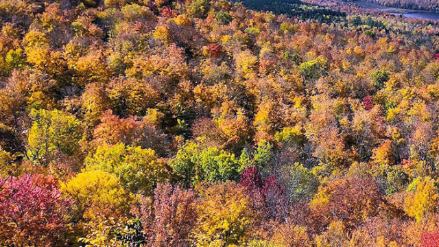 Овен Не е зле да преосмслите отношенията си със своята