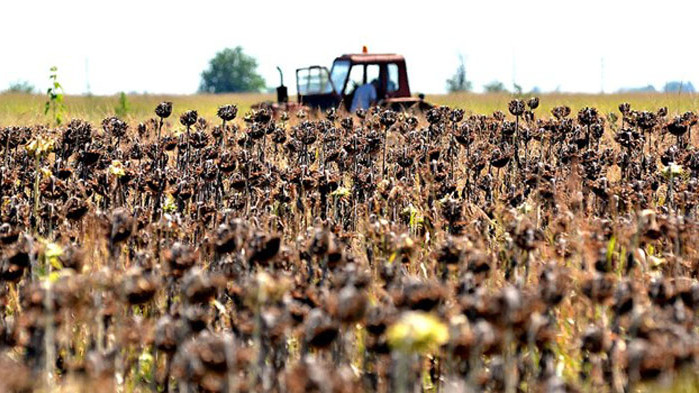 15 000 евро ще бъде максималната помощ за стопанство, която