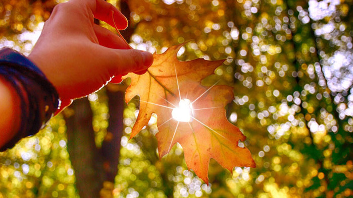 Редица държави в Европа регистрираха най-горещия октомври в историята. Това