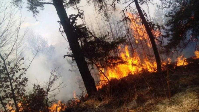 Продължава да бушува пожарът в Стара планина над Карлово в