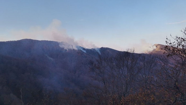 Горски пожар в Гърция се прехвърли на територията на България
