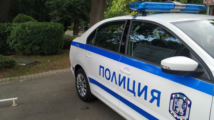 Инцидентът е станал в района на Долни Дъбник Шофьор блъсна