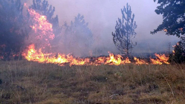Огромен пожар е извън контрол от две седмици в гръцката