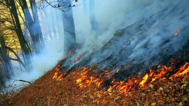 Пожарът на българо гръцката граница в района на връх Вейката се