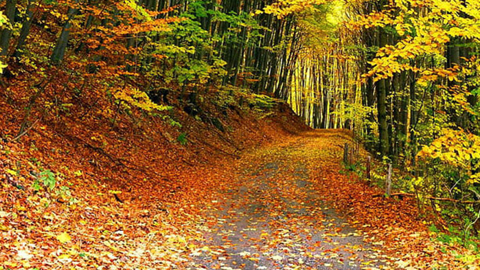 Овен Време е да разпуснете и да си отпочинете, но,