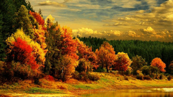 Овен Не трябва да се безпокоите от някои проблеми, свързани